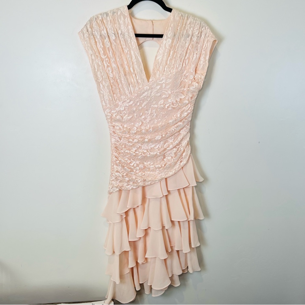 Ala Carte Vintage Pink Ruffle Dress 6